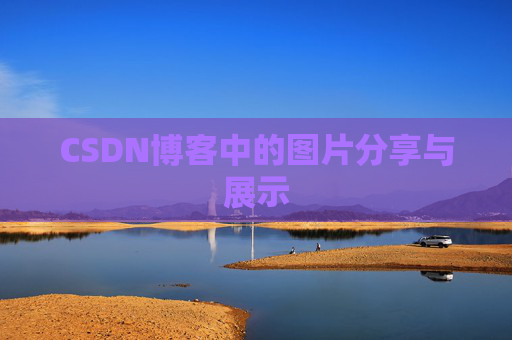 CSDN博客中的图片分享与展示